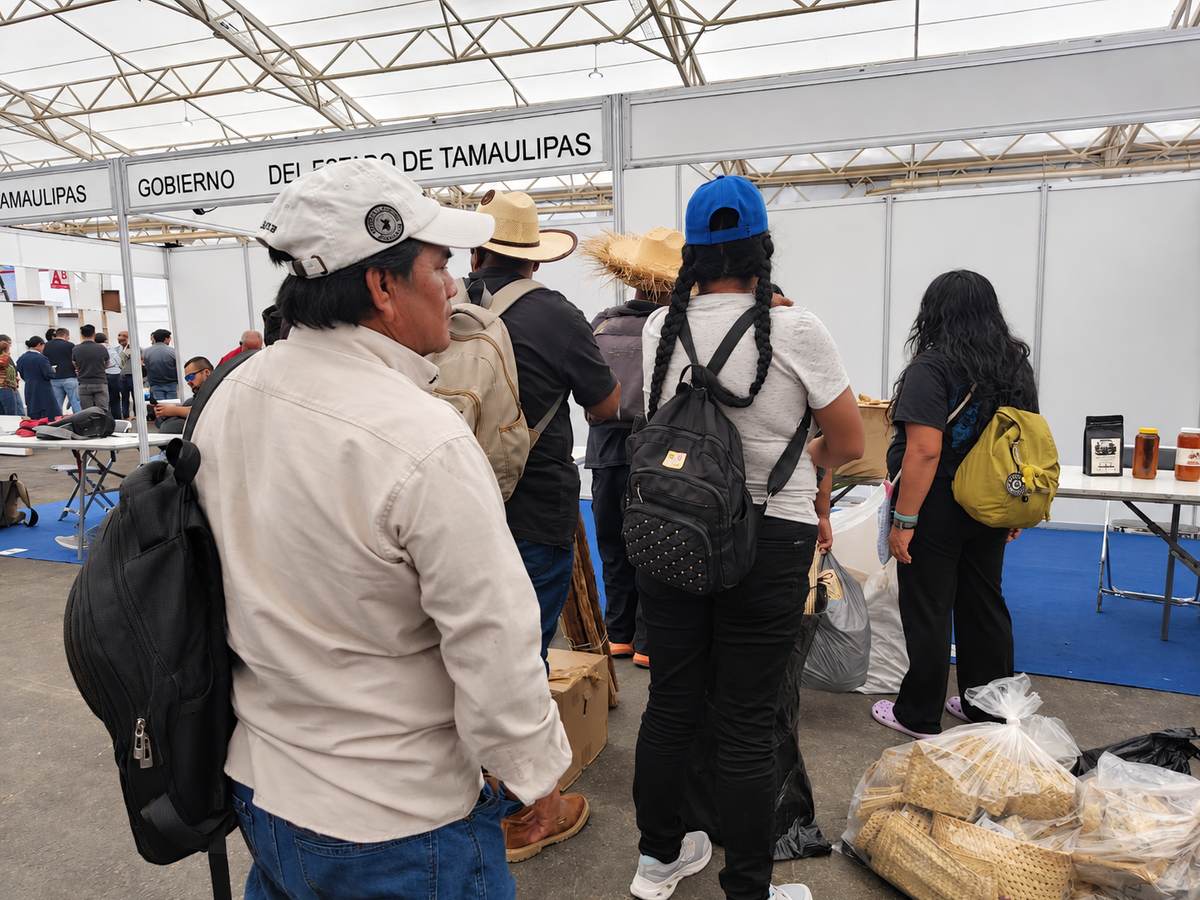Llegada y organización