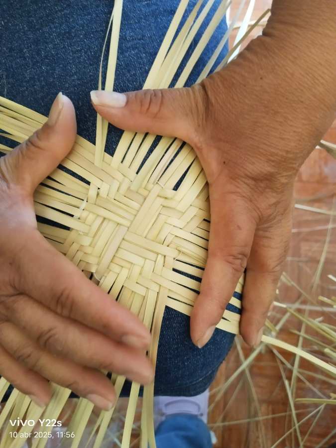 Tejido